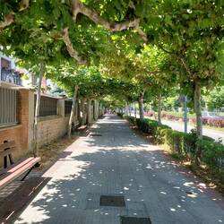 Weg durch Burlada. Plötzlich ist man dann in einer Großstadt, wo Peregrinos in der Unterzahl sind.