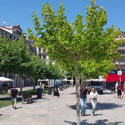 Der Plaza del Castillo mit Kuppelpavillon. Sehr schön beleuchtet am Abend (da war ich schon weiter).