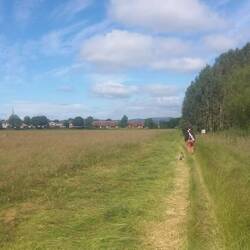 Leo found the grass too long on the meadow walk