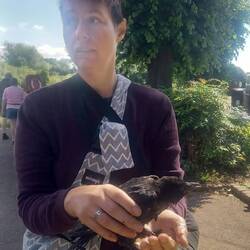 Vicky scooped a fledgling crow out of the river. We think it probably survived.