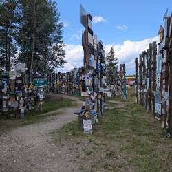 Schilder Wald , Watson Lake