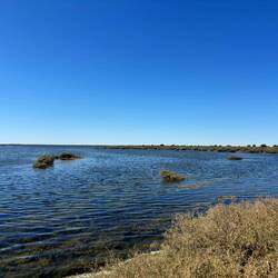 Fresh water springs