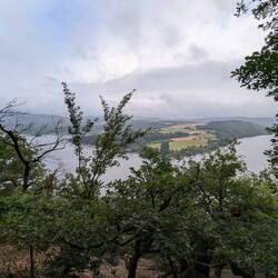 a little drizzle while walking along the lake