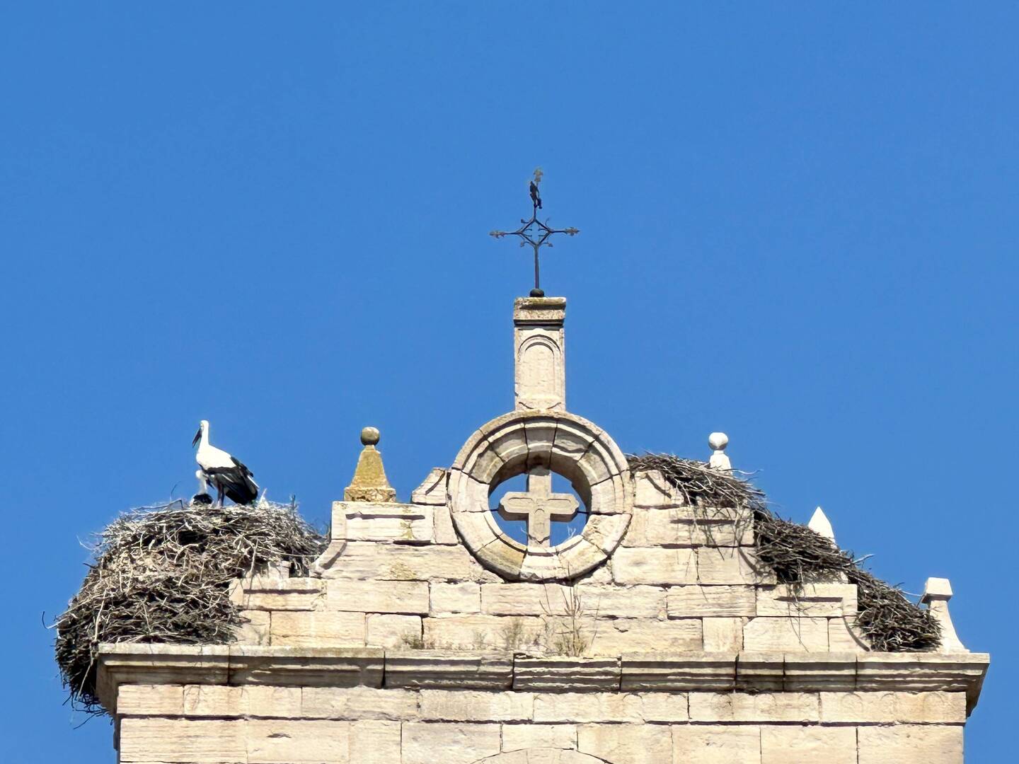 Those are some serious birds nests atop that church!