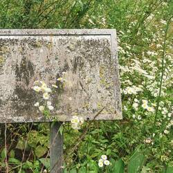 Bis zu meinem nächsten Besuch habe ich mir etwas überlegt, was ich auf das Schild schreibe