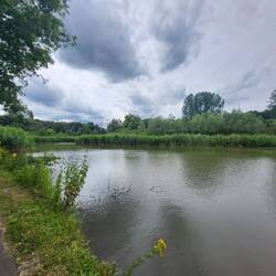 Ein See mitten in Bochum.