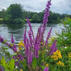 Der letzte Weg an der Ruhr.