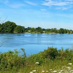 die schöne blaue Donau