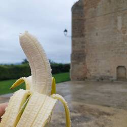 Banane zum Krafttanken. Im Hintergrund die Kirche in Zariquiegui.