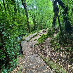 just in awe today, so green and peaceful