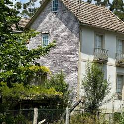 The house with the pilgrim scallop shells on the whole side of the house