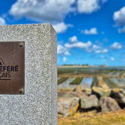 Alles voller Austern- und Muschelbänke