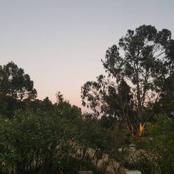 Sunneuntergang ~ Guet Nacht