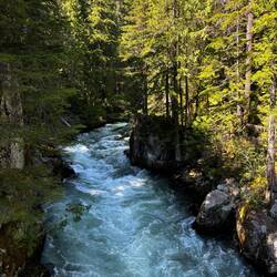 Cheakamus River
