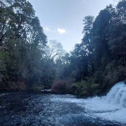 Het is wel echt heel groot al lijkt het niet zo