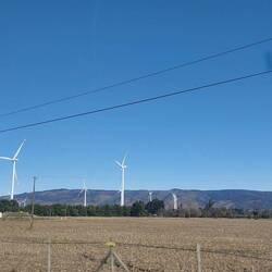 Echt heel veel windmolens