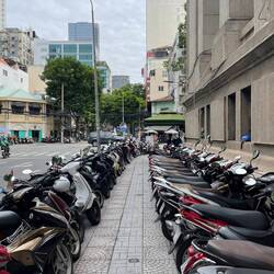 The neat rows of motorbikes. Would rather have the sidewalk back though tbh