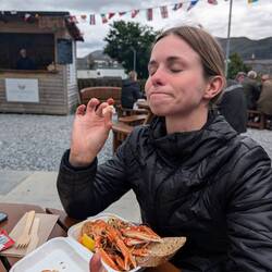 Nicis Highlights die Langusten