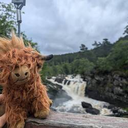McHairy wollte unbedingt am Wasserfall halten