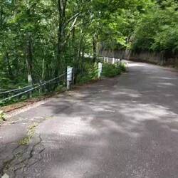 ...und dann kam diese Begegnung...