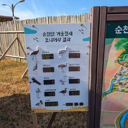Wie viele Vögel sich im Reservat aufhalten