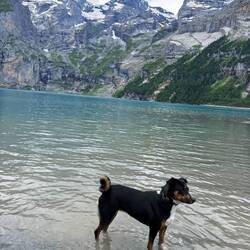 Endlich mal in einem See plantschen