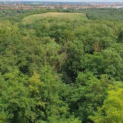 Drachenberg gebildet aus Schutt aus dem 2. Weltkrieg