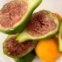 I went to the farmers market yesterday and bought apricots, grapes, and these gorgeous figs.