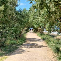 Schöne Strecke nach Villatuerta.