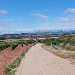Weiter geht's in Richtung Lorca. Zum ersten Mal ist es richtig heiß.