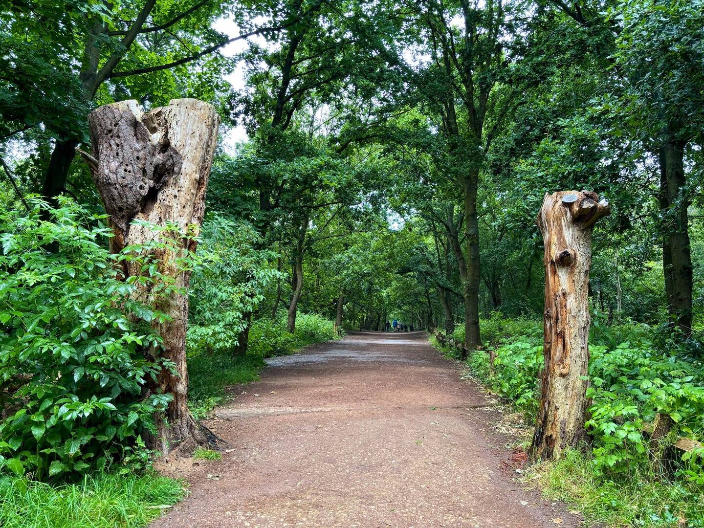 Entrata foresta di Sherwood