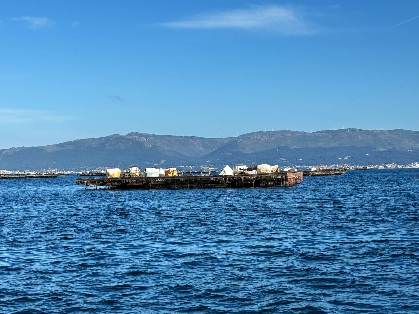 mussel rafts or "bateas". Galacia is the 2nd most exporting area for mussels
