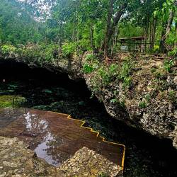 Cenote Mariposa