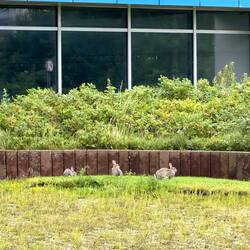 Da is das Schwimmbad des Hauses