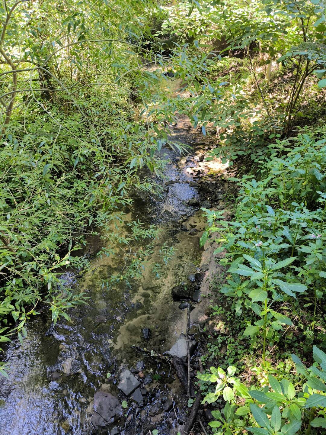 Weiherbach