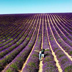 Plateau de Valensole