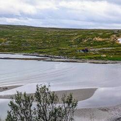 Rentiermeeting am Strand ...