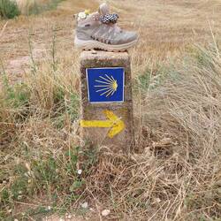 Die arme Nessa musste ab hier mit einem Schuh weiter.