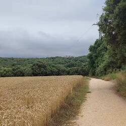 Unerhofft wolkenverhangen geht es weiter nach Azqueta.