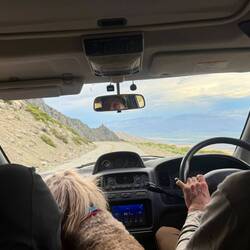 Bei Julie im Auto mit Hazel