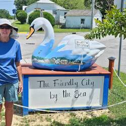 A Swansboro Swan