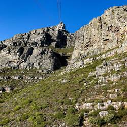 Top Station is about 3,600 feet high on Table Mountain — Cape Town, SA.