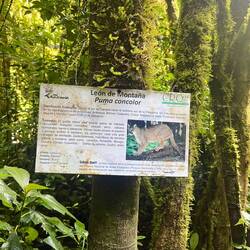 Zu Manus Enttäuschung haben wir leider keine Pumas gesehen