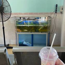 Fish at the station