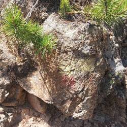 Juhu ein Wanderzeichen. Man muss aber schon genau hinsehen😅.