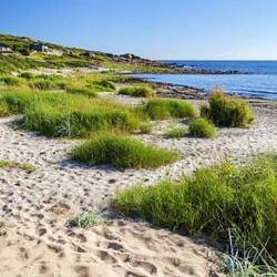 Wunderschöne Strände hätte es Hier
