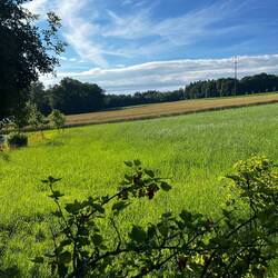 Ich hatte ganz vergessen, wie schön es hier ist.