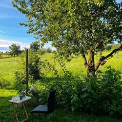 Sprung: zu Hause am Bodensee.