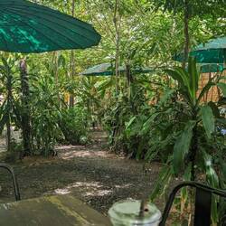 Lovely little cafe garden