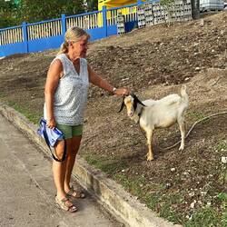 auf dem Weg ins einzige Dorf auf Mayreau
